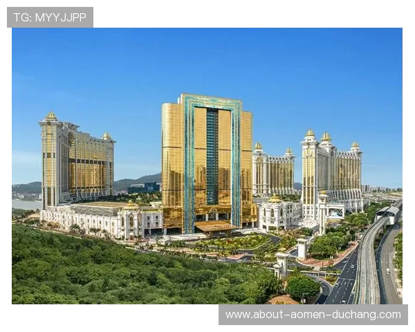 澳门华都娱乐场安全保障措施，确保每位宾客的娱乐体验安全无忧