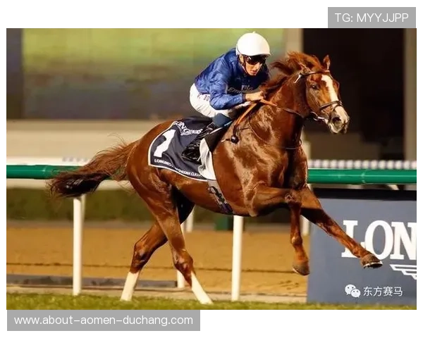 澳门赛马日现场直击,感受赛马激情与现场氛围的极致体验 澳门赛马日现场直击,感受赛马激情与现场氛围的极致体验